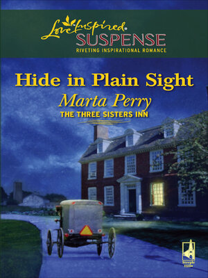 Hide in Plain Sight - ebook